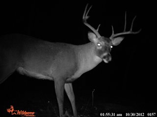 Property photo 13 - REAL ESTATE AUCTION - 1,000+/- ACRES OFFERED IN 10 TRACTS IN PITTSBURG CO., OKLAHOMA